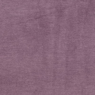Charlotte Fabrics D3827 Mulberry