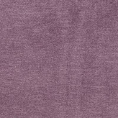 Charlotte Fabrics D3827 Mulberry