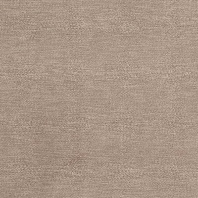 Charlotte Fabrics D3829 Birch
