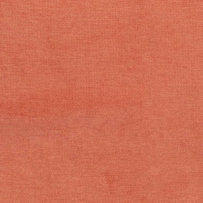 Charlotte Fabrics D3831 Tangerine