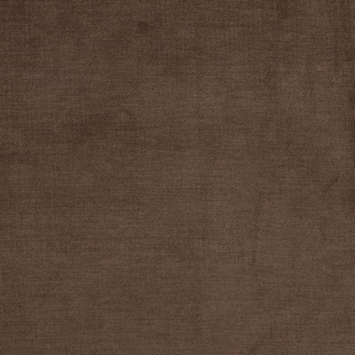 Charlotte Fabrics D3832 Chocolate