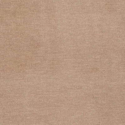 Charlotte Fabrics D3836 Rattan