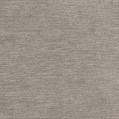 Charlotte Fabrics D3837 Pigeon