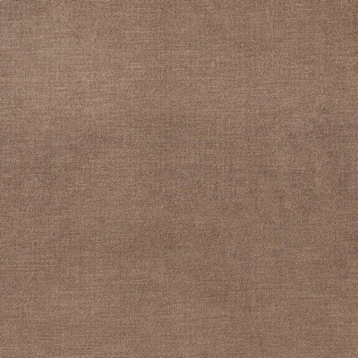 Charlotte Fabrics D3847 Oak