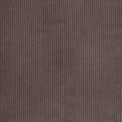Charlotte Fabrics D3866 Bark