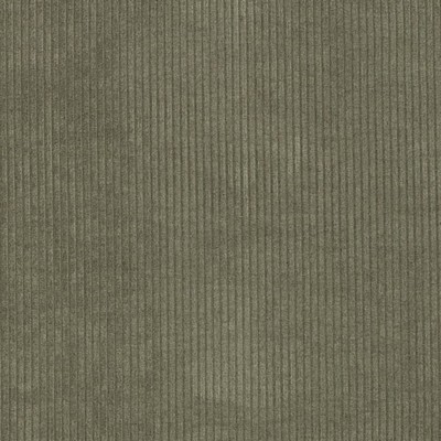 Charlotte Fabrics D3869 Moss