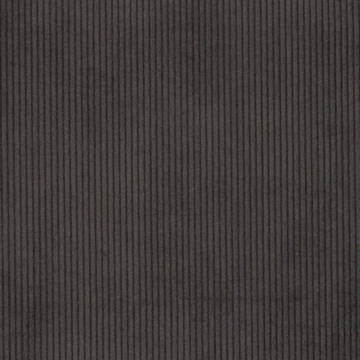 Charlotte Fabrics D3875 Shadow