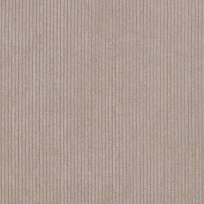Charlotte Fabrics D3881 Stone