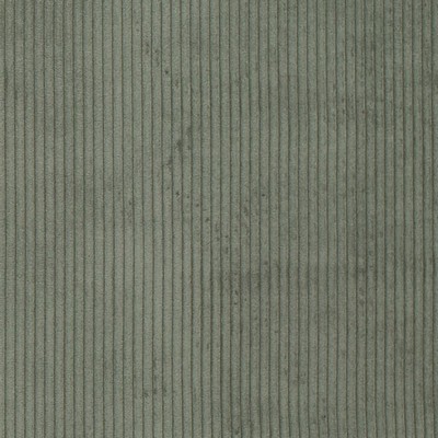 Charlotte Fabrics D3898 Clover