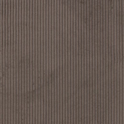 Charlotte Fabrics D3900 Coffee