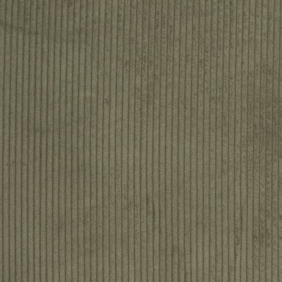 Charlotte Fabrics D3901 Pine