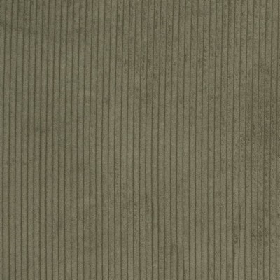 Charlotte Fabrics D3901 Pine
