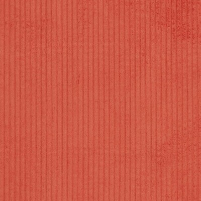 Charlotte Fabrics D3904 Marmalade