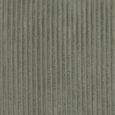 Charlotte Fabrics D3915 Basil