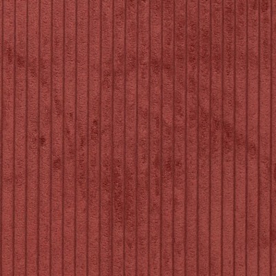 Charlotte Fabrics D3923 Chili