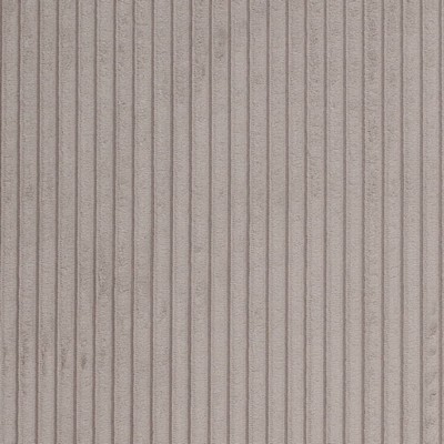 Charlotte Fabrics D3925 Mink