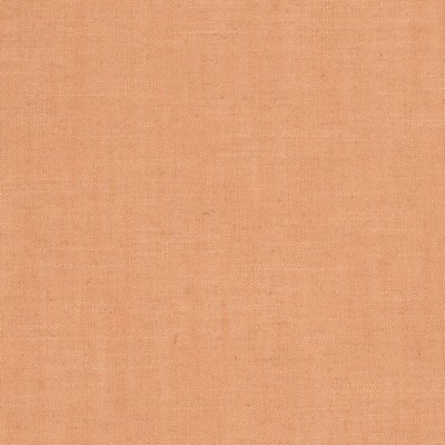 Charlotte Fabrics D3938 Apricot