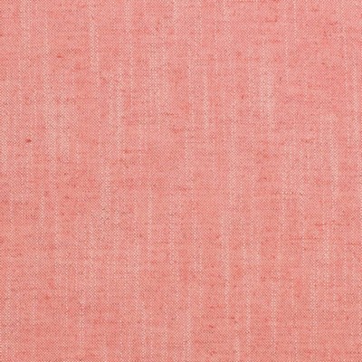 Charlotte Fabrics D3954 Bubblegum
