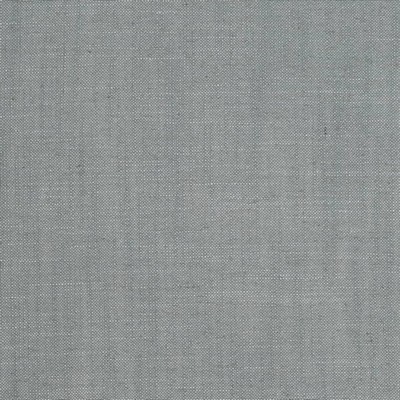 Charlotte Fabrics D3956 Slate