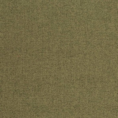 Charlotte Fabrics D4005 Fern