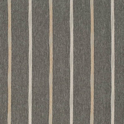 Charlotte Fabrics D4135 Graphite