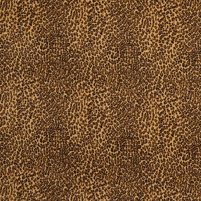 Charlotte Fabrics D415 Cheetah