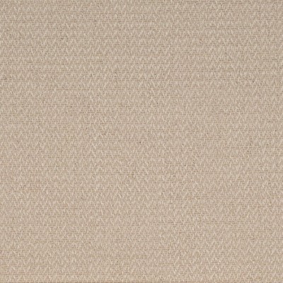 Charlotte Fabrics D4252 Fawn