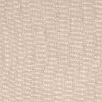 Charlotte Fabrics D4254 Flax