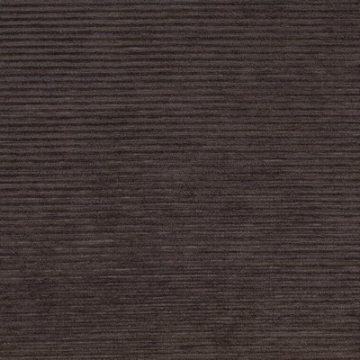 Charlotte Fabrics D4262 Cocoa