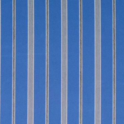 Charlotte Fabrics D4302 Cobalt