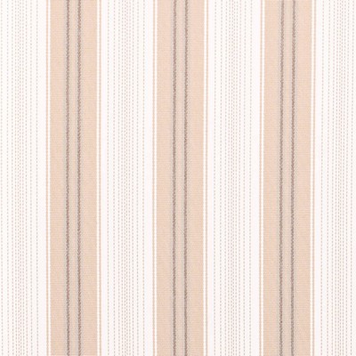 Charlotte Fabrics D4307 Fawn