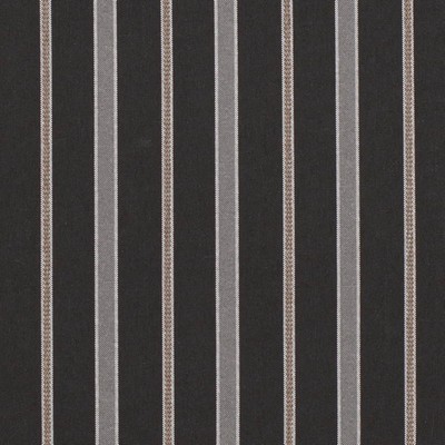 Charlotte Fabrics D4310 Charcoal