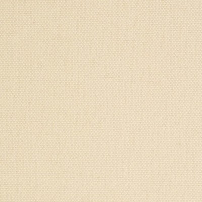 Charlotte Fabrics D4457 Pearl