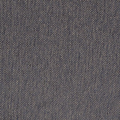 Charlotte Fabrics D4479 Navy