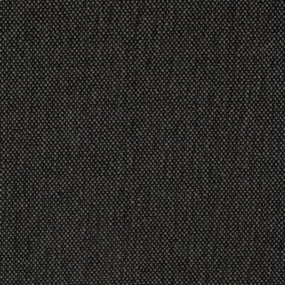 Charlotte Fabrics D4490 Onyx