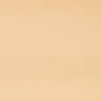 Charlotte Fabrics D4496 Custard