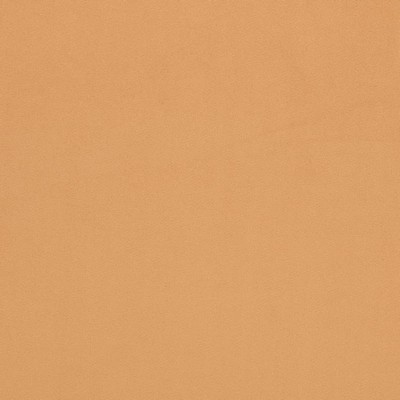 Charlotte Fabrics D4499 Camel