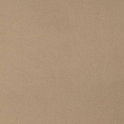 Charlotte Fabrics D4513 Dove