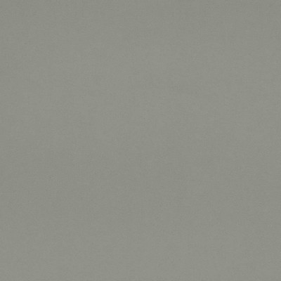 Charlotte Fabrics D4519 Chambray