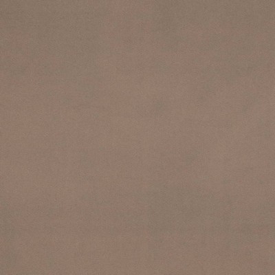 Charlotte Fabrics D4522 Pewter