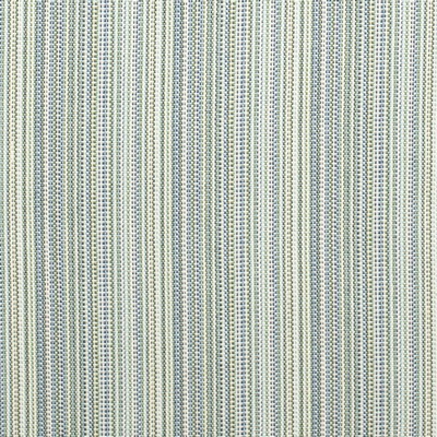 Charlotte Fabrics D4534 Canopy Pool
