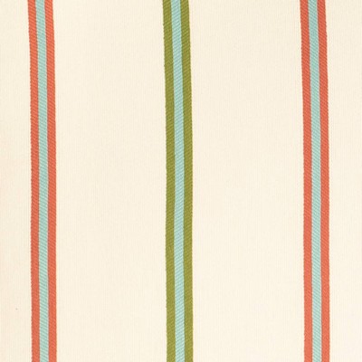 Charlotte Fabrics D4538 Awning Grass