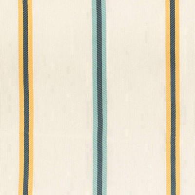 Charlotte Fabrics D4542 Awning Sun