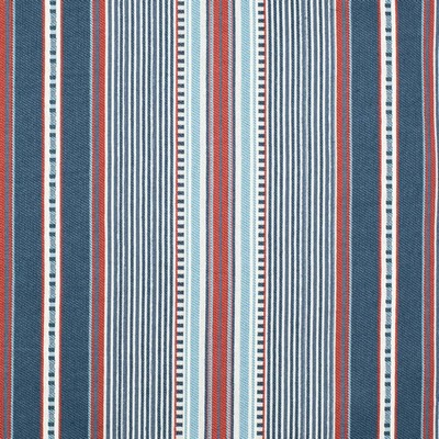 Charlotte Fabrics D4565 Terrace Marine