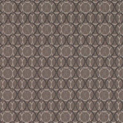 Charlotte Fabrics D4621 Zinc