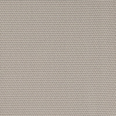 Charlotte Fabrics D4624 Platinum