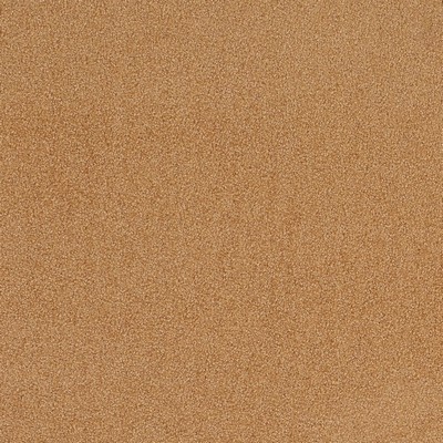 Charlotte Fabrics D4657 Desert