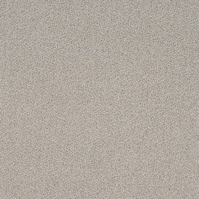 Charlotte Fabrics D4658 Sterling