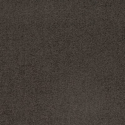 Charlotte Fabrics D4659 Ash