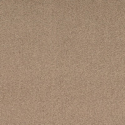 Charlotte Fabrics D4662 Taupe